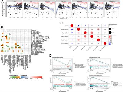 Downregulation of MARC2 Promotes Immune Escape and Is Associated With Immunosuppression of Hepatocellular Carcinoma